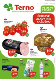 TERNO leták  s platnosťou 21. 5. - 27. 5. 2026 