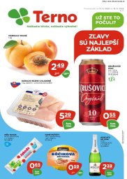 TERNO leták  s platnosťou 13. 8. - 19. 8. 2026 